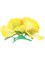 New Yellow Adult Luau Hawaiian Flower Hibiscus Costume Accessory Hair Clips